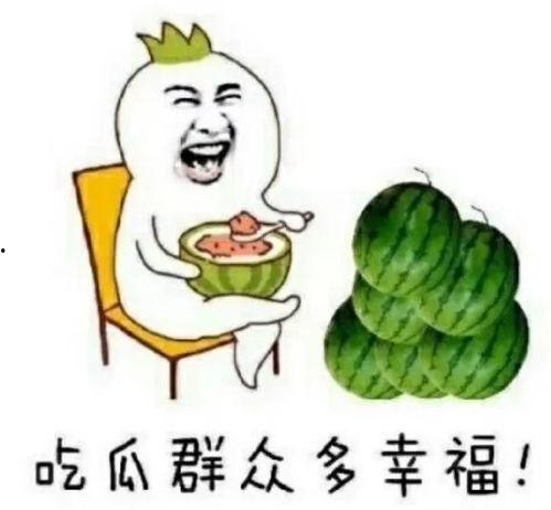 娱乐都是吃瓜,瓜田里的欢乐与秘密